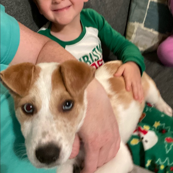 Meet your Posher, Tammy - Picture 2 of 13